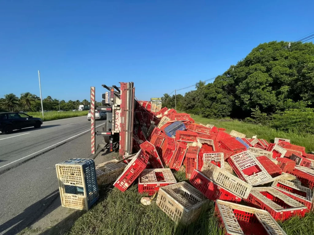 Caminhão carregado de frangos tomba às margens da AL-101 Sul, em Marechal