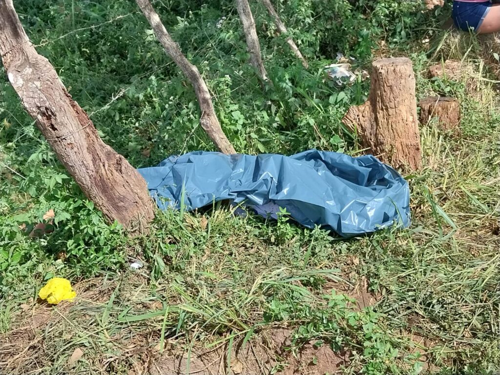 [Áudios e vídeo] Jovem é morto e seus primos ficam feridos após atropelamento na Serra das Espias, em Palmeira dos Índios