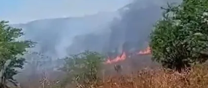 Temperatura elevada e a onda de incêndios no Sertão de Alagoas