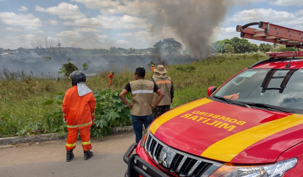 [Vídeo] Vegetação se torna foco de incêndio e compromete trânsito, em Arapiraca