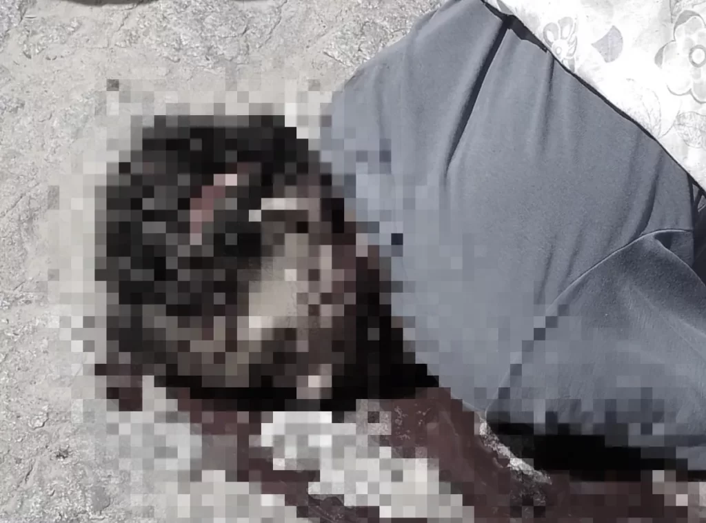 [Vídeo] Homem é assassinado com golpes de facão, em Porto Calvo