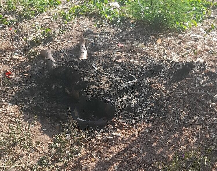Cadáver carbonizado é encontrado em Igaci