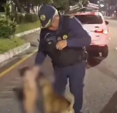 [Vídeo] Bebê de um ano foge e é encontrado com cachorro caramelo, em avenida de Belém do Pará