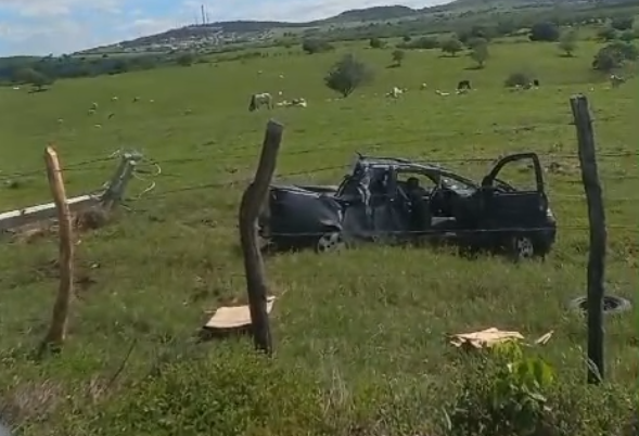 [Vídeo] Homem evita atropelar cachorro, perde o controle do carro e bate em poste, em Arapiraca