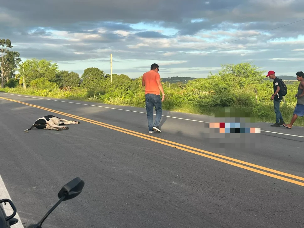 Jovem motociclista atinge vaca solta em rodovia e morre, em São José da Tapera