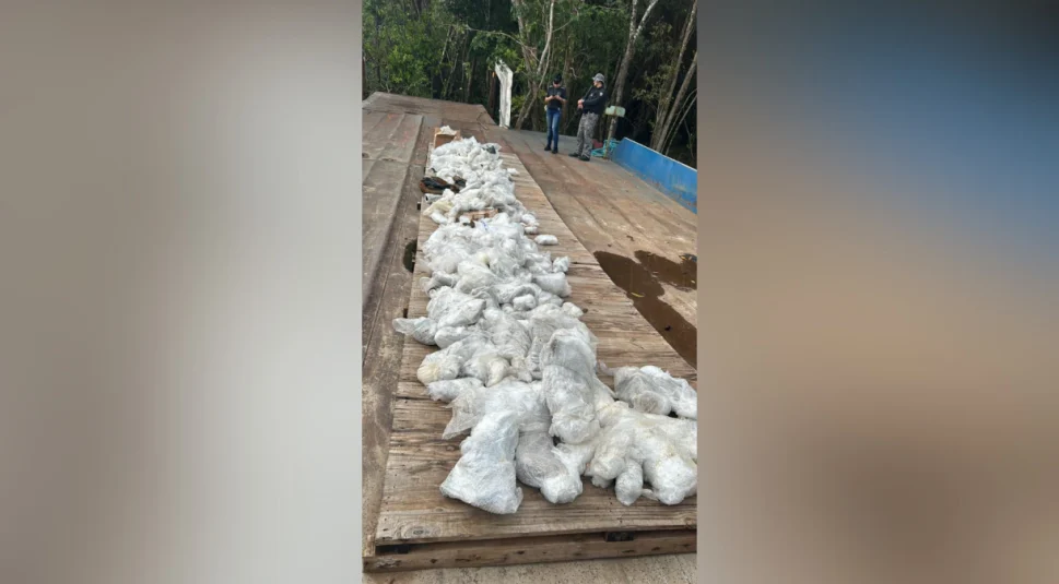 Polícia apreende quase uma tonelada de minério raro; carga foi avaliada em mais de R$ 1 milhão