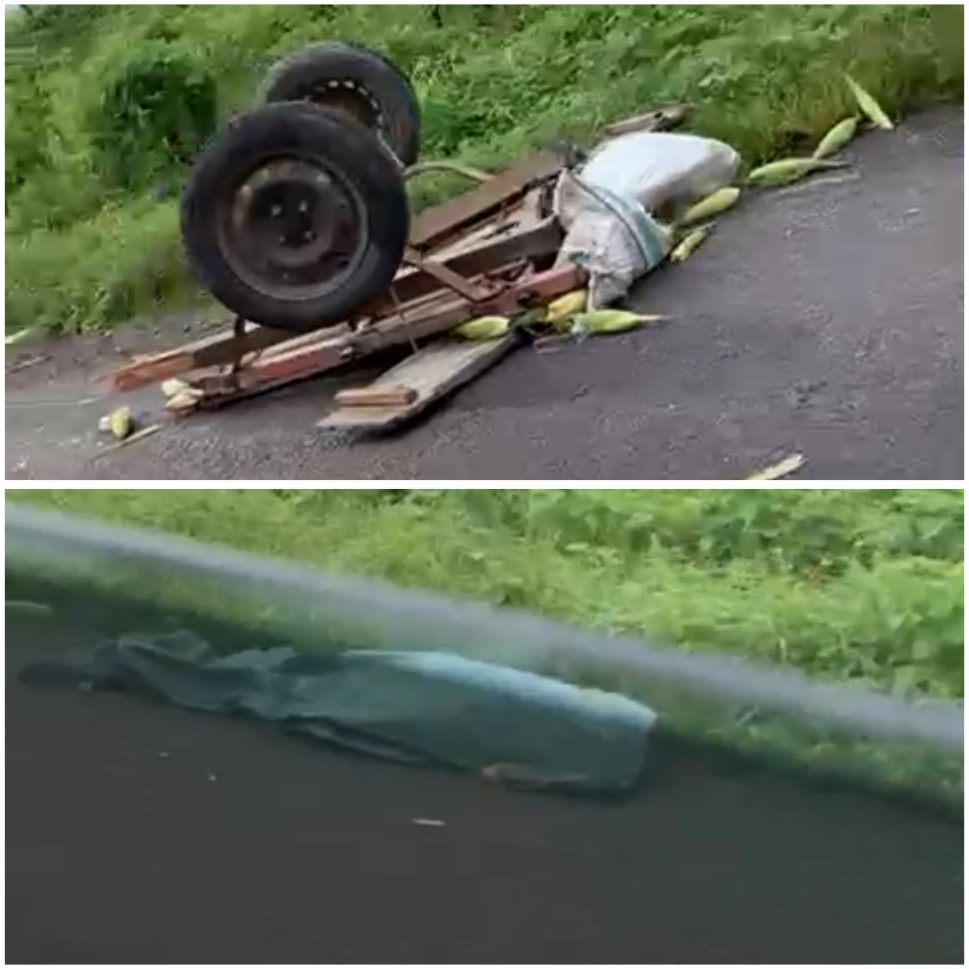 Idoso morre após ser atingido por carreta na BR-423 em Água Branca