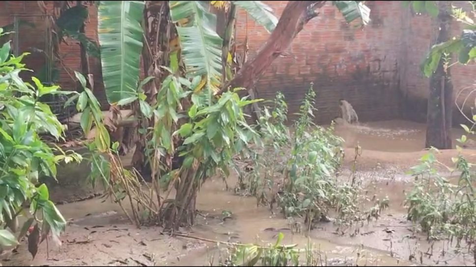 [Áudio e vídeos] Com casa sendo invadida pelas águas, desde 2019 mulher pede providências e não é atendida, em Palmeira dos Índios