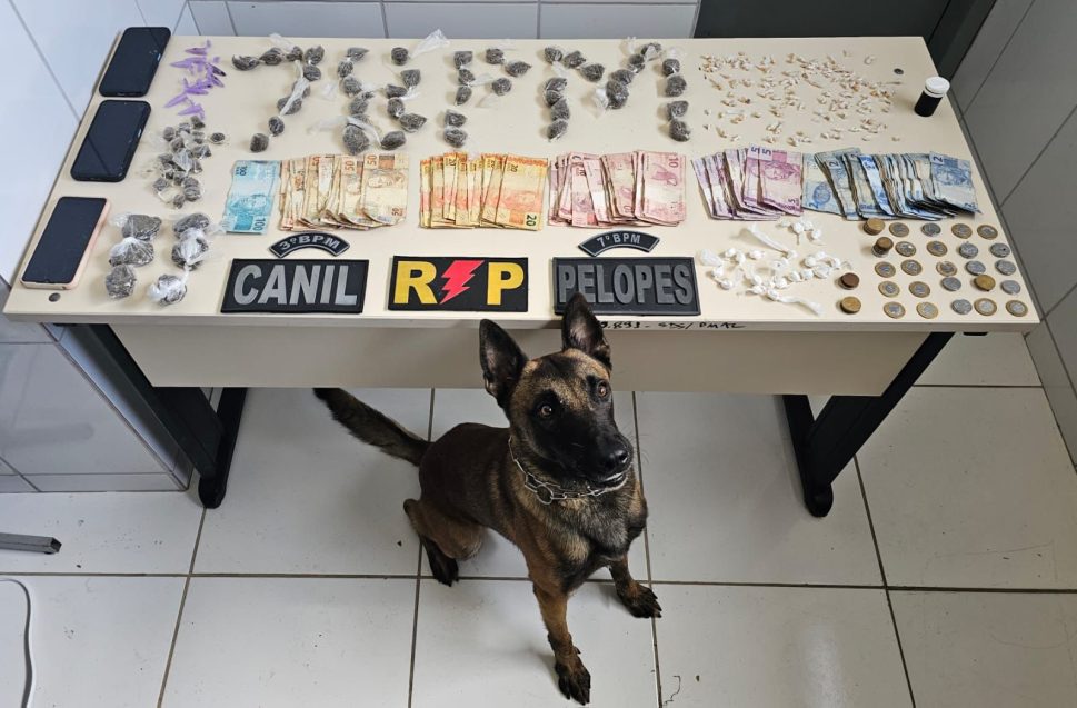 Quatro pessoas são flagradas com drogas e presas, em Santana do Ipanema
