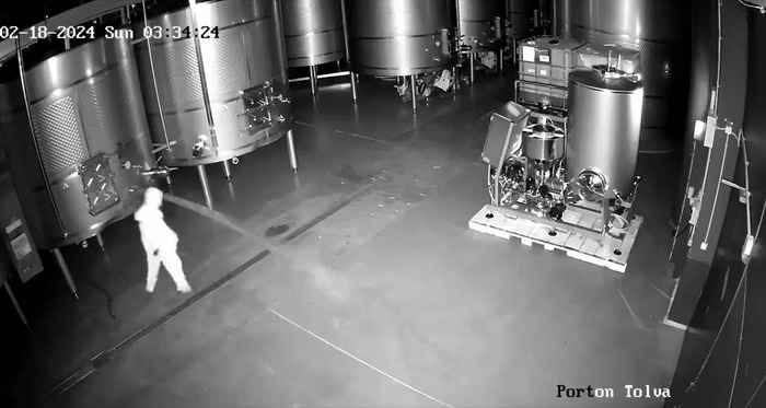 [Vídeo] Mulher é presa após invadir adega, derramar vinho e causar prejuízo de R$ 13 milhões