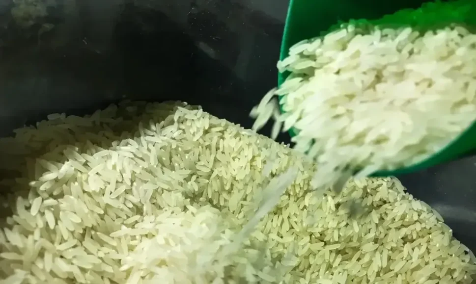 Após irregularidades no leilão do arroz, ministro confirma pedido de exoneração do diretor de Operações e Abastecimento da Conab