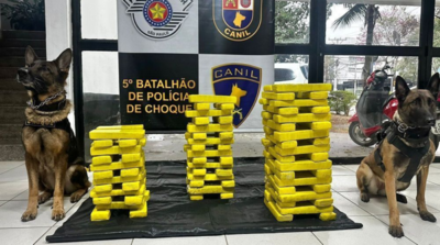 Polícia prende grupo envolvido com delivery de “maconha gourmet” e apreende drogas, em São Paulo
