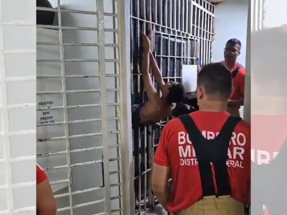 [Vídeo] Preso fica entalado em grades de cela após tentar fugir de delegacia