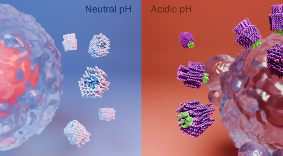 Pesquisadores desenvolvem nanorrobôs capazes de matar células cancerígenas em camundongos