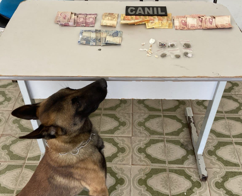 Com ajuda de cão farejador PM localiza drogas e prende homem suspeito de tráfico em Arapiraca