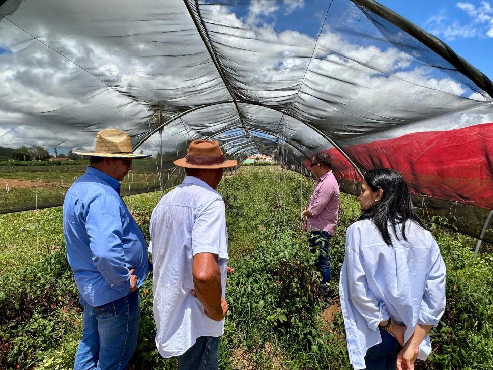 Secretaria de Agricultura do estado implanta vitrine tecnológica no Sertão e visita agricultores familiares em Palmeira