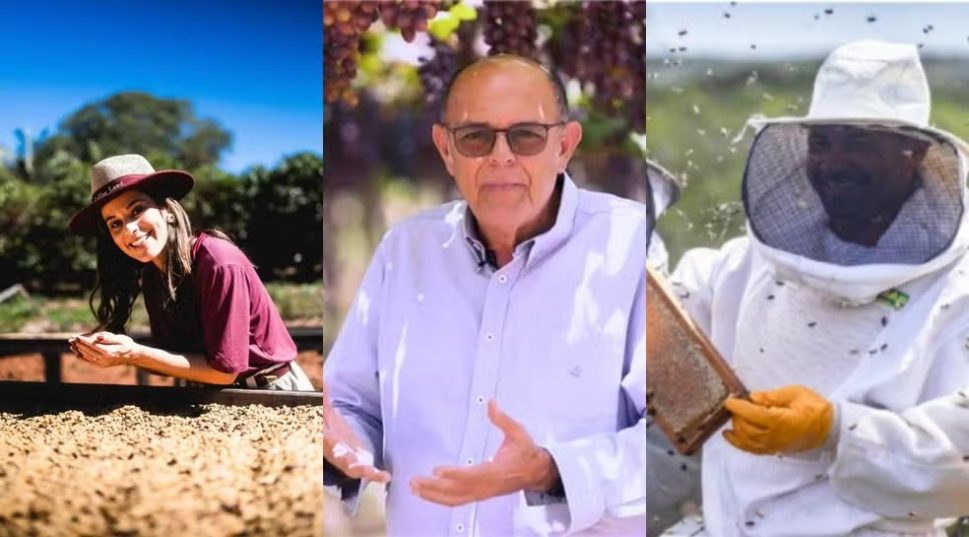 1 mês de tarifaço: produtores brasileiros perdem clientes de anos nos EUA