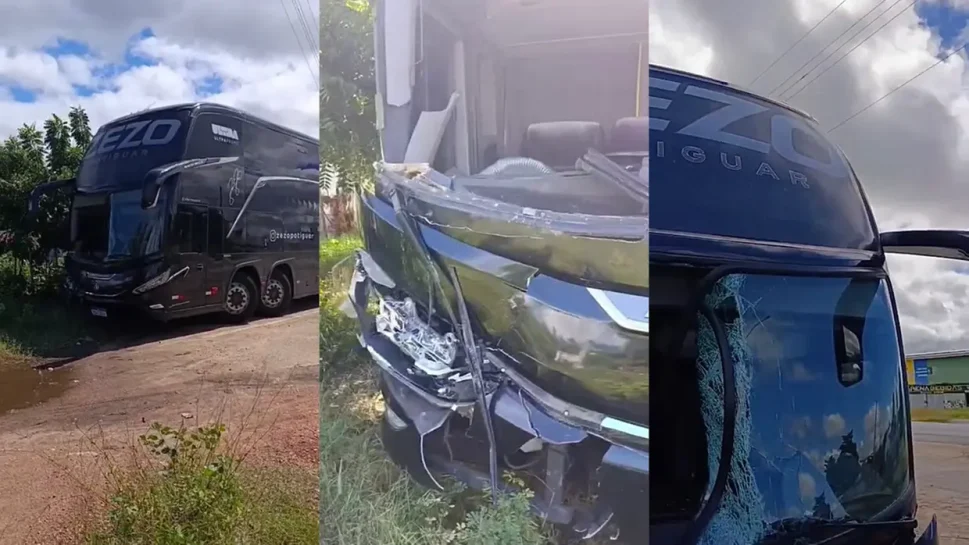 Ônibus do cantor Zezo atropela cavalo na BR-230, na Paraíba