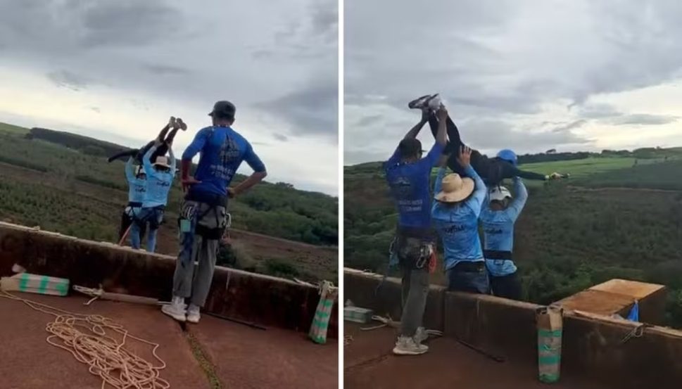 Morte em salto sem corda: veja o que funcionários presos disseram à polícia