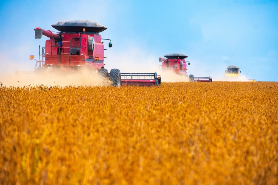 “Mudamos a rota”: produtores do agro já buscam novos mercados após tarifaço de Trump