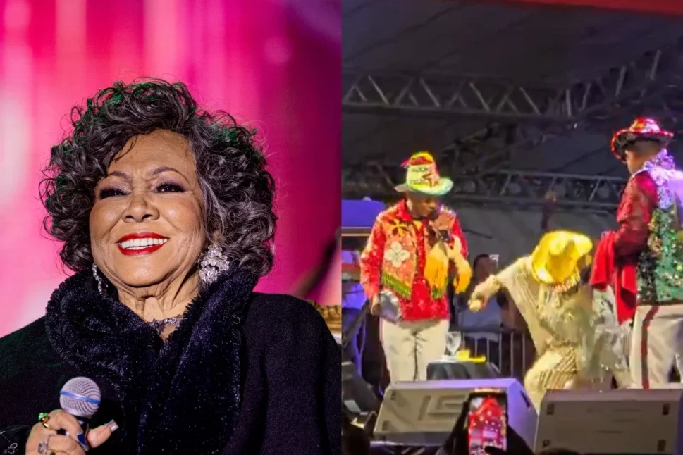 Alcione cai no palco durante show