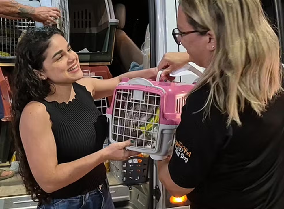 Após desaparecer e ser encontrado em Natal (RN), gato Mimo reencontra tutora em Arapiraca
