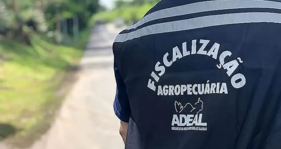 Governo de Alagoas lança edital de concurso para fiscal agropecuário com salário de R$ 7,3 mil