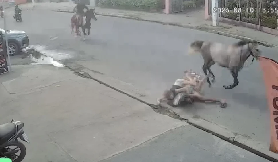 Casal cai de cavalo durante trajeto em alta velocidade em Arapiraca