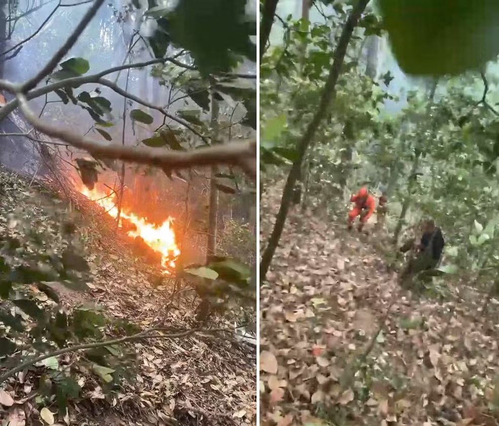 Quatro morrem em queda de helicóptero na Zona Sul do Rio