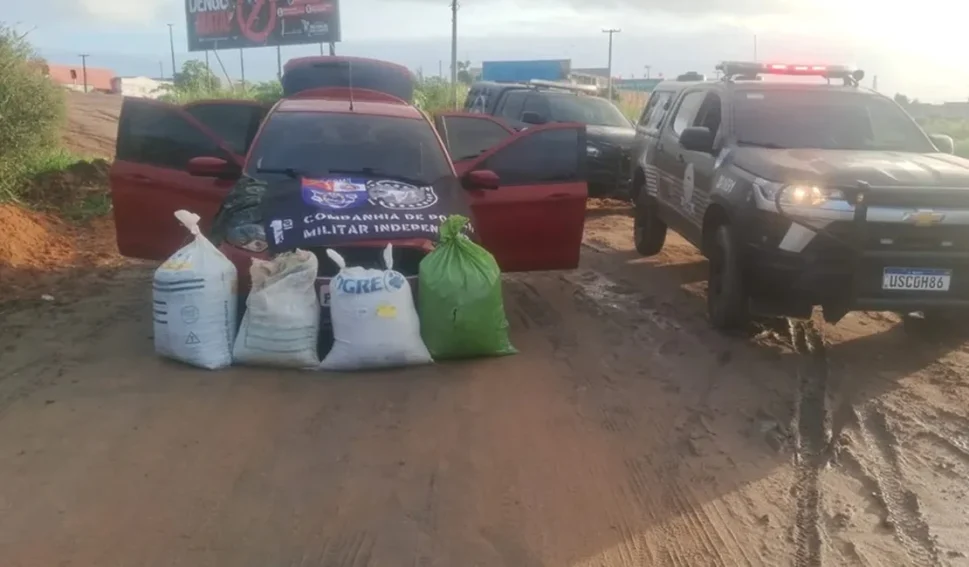 Cerca de 35kg de maconha que seriam levados de Arapiraca para Marechal são apreendidos durante abordagem