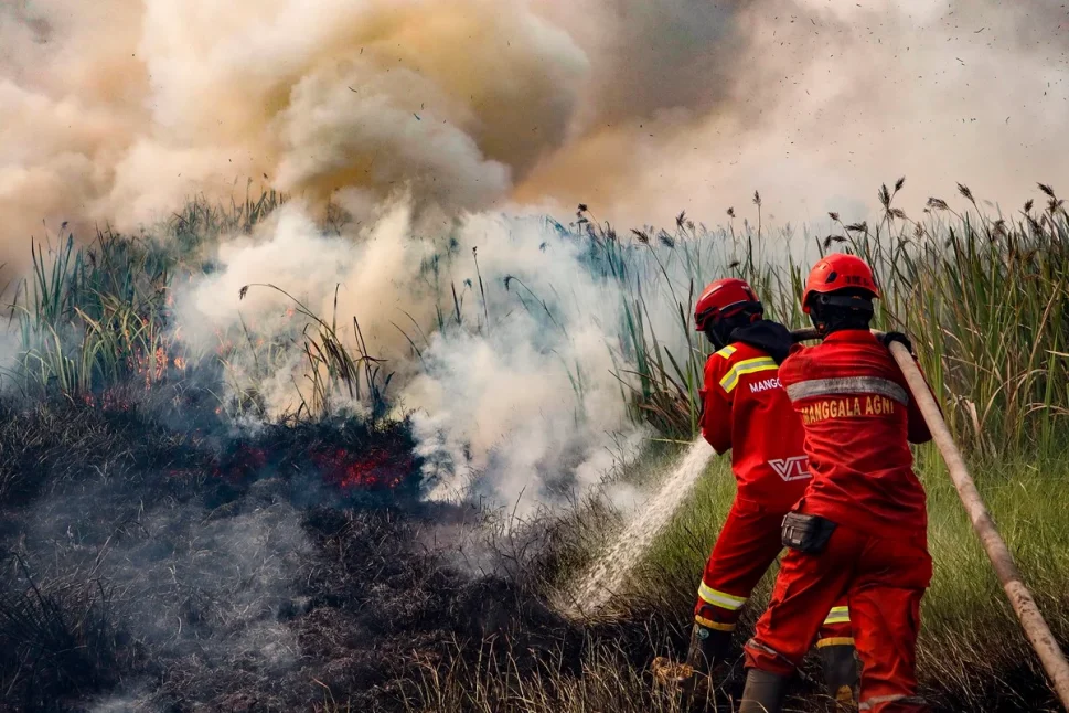 Indonésia: incêndios florestais ameaçam liberar “bombas” de carbono