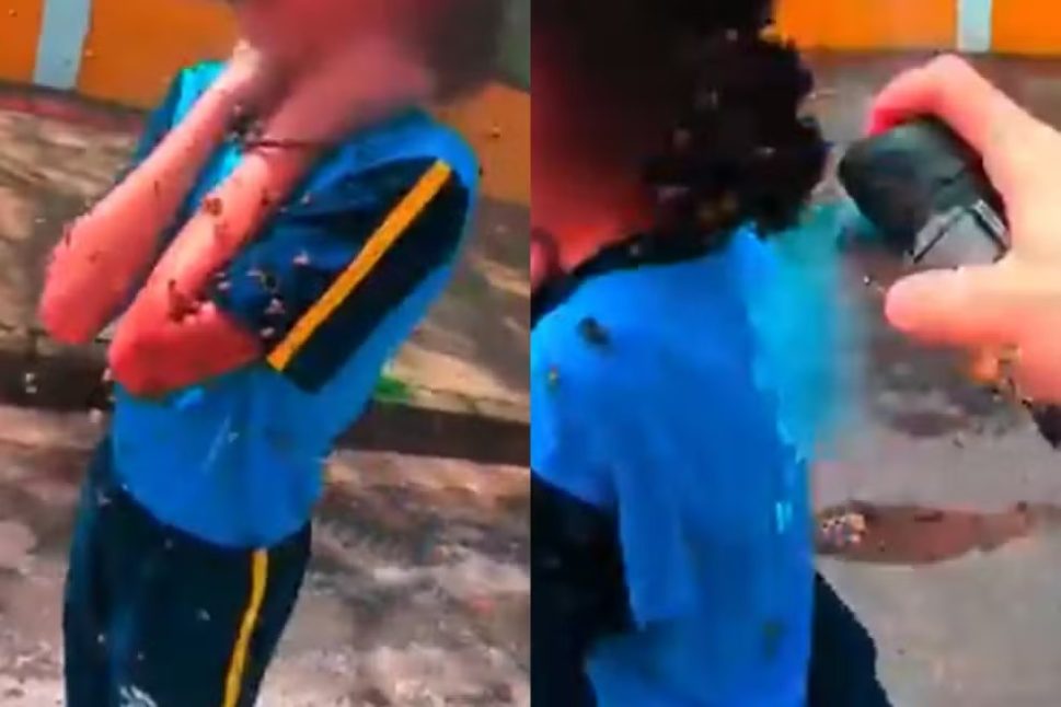 Motoboy enfrenta enxame de abelhas para salvar garota e leva 40 picadas em em Minas Gerais