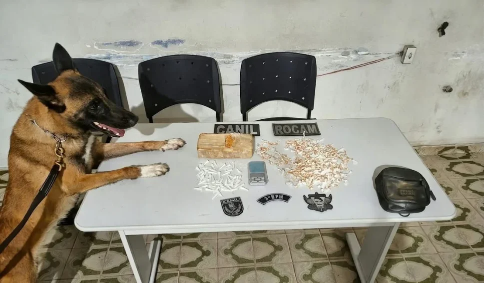 Polícia apura possível “delivery” de drogas após apreensão em Arapiraca