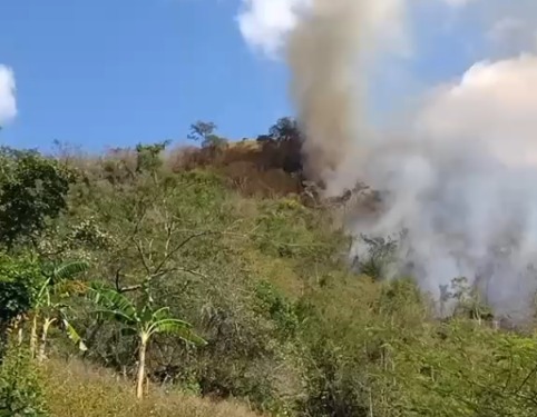 Incêndio em vegetação mobiliza Corpo de Bombeiros em Palmeira dos Índios