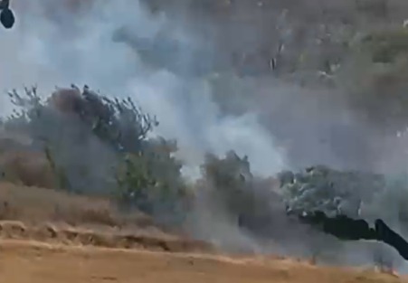 Incêndio em vegetação mobiliza Corpo de Bombeiros em Palmeira dos Índios
