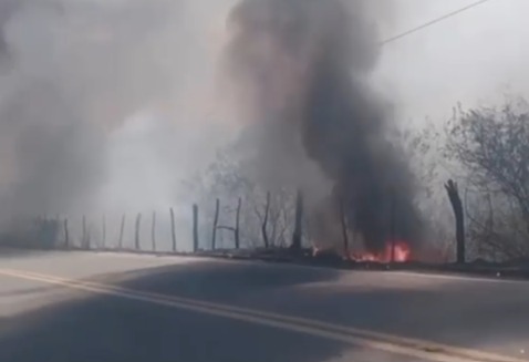 Incêndio na Serra das Espias mobiliza Corpo de Bombeiros em Palmeira dos Índios