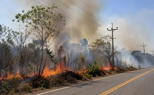 Equatorial Alagoas alerta para 177 ocorrências relacionadas a queimadas próximas à rede elétrica em 2026